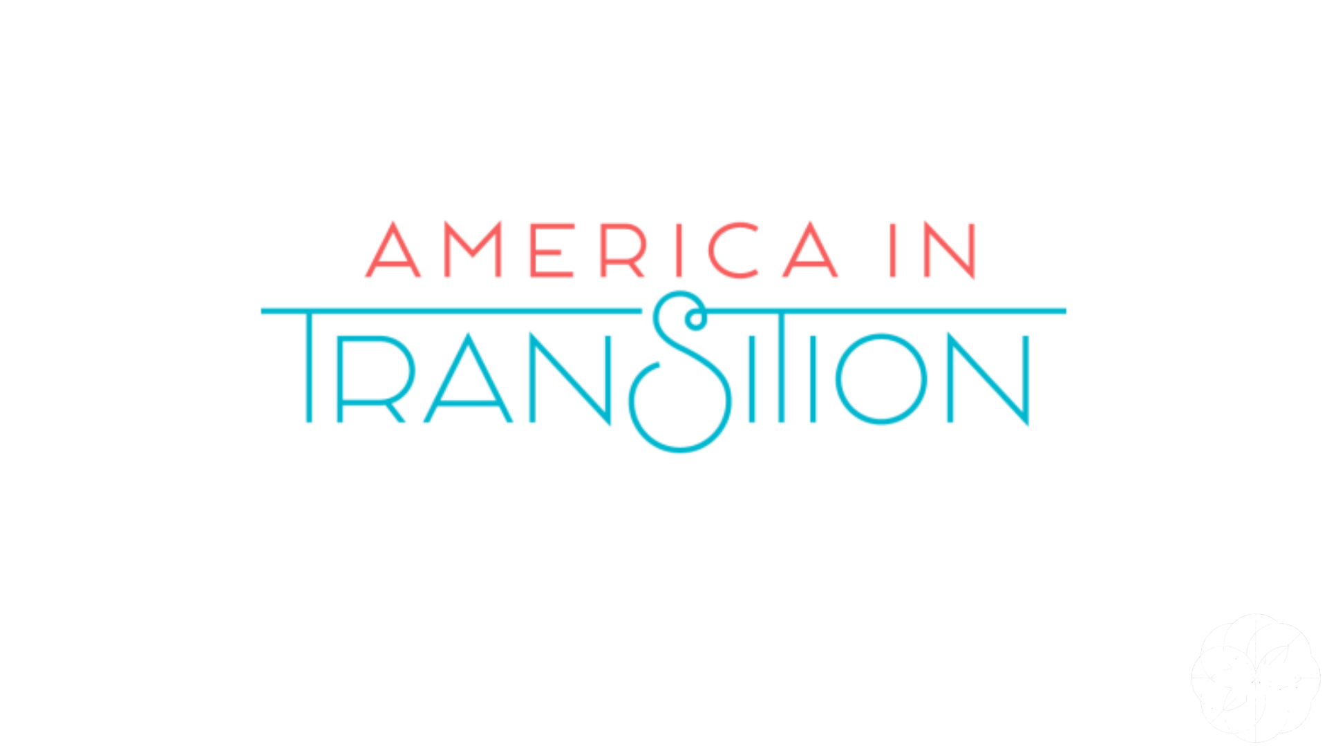 America in Transition Logo